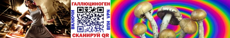 Галлюциногенные грибы GOLDEN TEACHER  где продают наркотики  Евпатория 