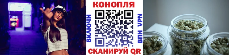 shop как зайти  Евпатория  Марихуана AK-47 